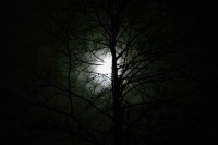 la luna...